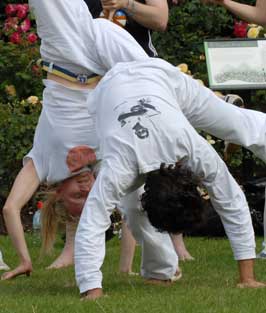 Capoeira game Capoeira game